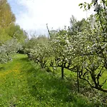 In Saint-omer Near & Forest 別荘 *