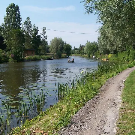 In Saint-omer Near & Forest