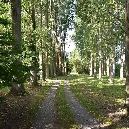 Casa vacanze In Saint-omer Near & Forest *